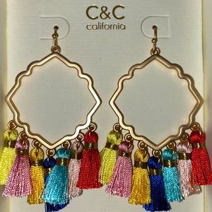 Colorful Tassel Earrings